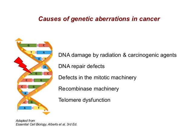 Is cancer genetic?