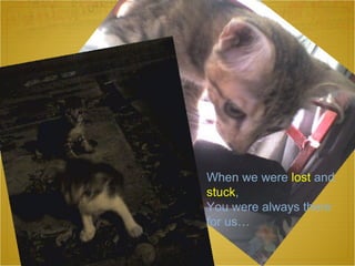 When we were  lost  and  stuck , You were always there  for us… 