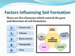 Factors Influencing Soil Formation
There are five elements which control the pace
and direction of soil formation
• Parent rock1.
• Climate2.
• Biotic activity3.
• Topography4.
• Time5.
 