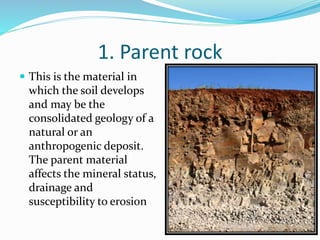 1. Parent rock
 This is the material in
which the soil develops
and may be the
consolidated geology of a
natural or an
anthropogenic deposit.
The parent material
affects the mineral status,
drainage and
susceptibility to erosion
 
