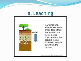 a. Leaching
 