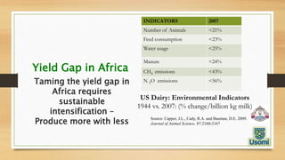 Denis Mujibi | PPT