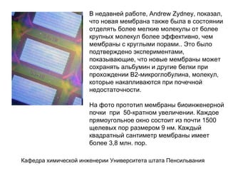 В недавней работе, Andrew Zydney, показал, что новая мембрана также была в состоянии отделять более мелкие молекулы от более крупных молекул более эффективно, чем мембраны с круглыми порами.. Это было подтверждено экспериментами, показывающие, что новые мембраны может сохранять альбумин и другие белки при прохождении В2-микроглобулина, молекул, которые накапливаются при почечной недостаточности.  На фото прототип мембраны биоинженерной почки  при  50-кратном увеличении. Каждое прямоугольное окно состоит из почти 1500 щелевых пор размером 9 нм. Каждый квадратный сантиметр мембраны имеет более 3,8 млн. пор.  Кафедра химической инженерии Университета штата Пенсильвания 