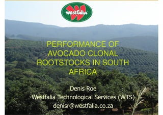 PERFORMANCE OF
   AVOCADO CLONAL
 ROOTSTOCKS IN SOUTH
       AFRICA

              Denis Roe
Westfalia Technological Services (WTS)
        denisr@westfalia.co.za
 