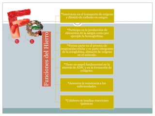 Funciones del Hierro

*Interviene en el transporte de oxígeno
y dióxido de carbono en sangre.

*Participa en la producción de
elementos de la sangre como por
ejemplo la hemoglobina.
*Forma parte en el proceso de
respiración celular y es parte integrante
de la mioglobina, almacén de oxígeno
en el músculo.
*Tiene un papel fundamental en la
síntesis de ADN, y en la formación de
colágeno.

*Aumenta la resistencia a las
enfermedades.

*Colabora en muchas reacciones
químicas.

 