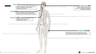 linkedin.com/in/dstmichel/
41 / Comprendre l'écosystème du Product Ownership à travers le corps humain.
COLONE / TACTIQUE
...