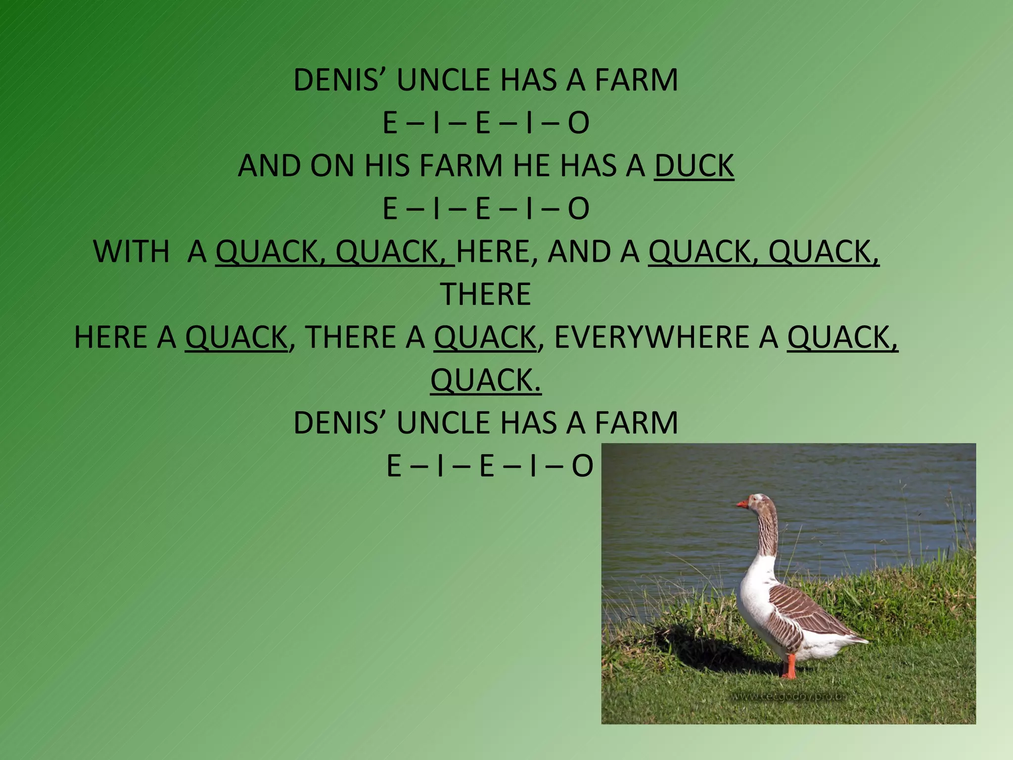 DENIS’ UNCLE HAS A FARM  E – I – E – I – O  AND ON HIS FARM HE HAS A  DUCK  E – I – E – I – O  WITH  A  QUACK, QUACK,  HERE, AND A  QUACK, QUACK,  THERE HERE A  QUACK , THERE A  QUACK , EVERYWHERE A  QUACK, QUACK. DENIS’ UNCLE HAS A FARM  E – I – E – I – O 