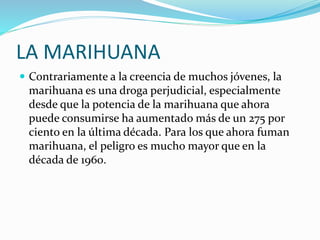 LA MARIHUANA
 Contrariamente a la creencia de muchos jóvenes, la
marihuana es una droga perjudicial, especialmente
desde que la potencia de la marihuana que ahora
puede consumirse ha aumentado más de un 275 por
ciento en la última década. Para los que ahora fuman
marihuana, el peligro es mucho mayor que en la
década de 1960.
 