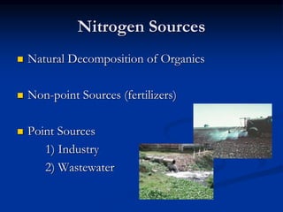 Nitrogen Sources
 Natural Decomposition of Organics
 Non-point Sources (fertilizers)
 Point Sources
1) Industry
2) Wastewater
 
