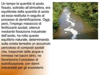 Denitrificazione PPT