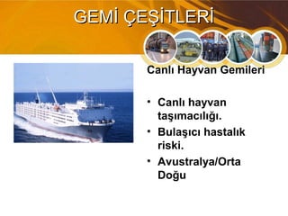 Canlı Hayvan Gemileri
• Canlı hayvan
taşımacılığı.
• Bulaşıcı hastalık
riski.
• Avustralya/Orta
Doğu
GEMİ ÇEŞİTLERİGEMİ ÇEŞİTLERİ
 