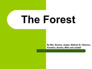 The Forest By Mie, Simone, Jesper, Mathias B., Rasmus,  Annelise, Sandra, Mille and Lisbeth 