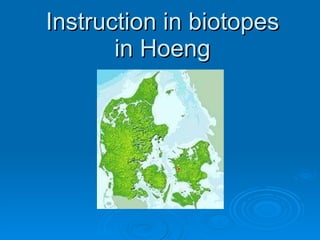 Instruction  in biotopes in Hoeng 
