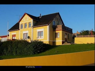 All yelow by  sikor102 