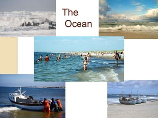 The
Ocean
 