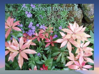 Attunement to what is 