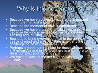 Why is this not enough? Because we have evolved to have a past, present and future, not just a now. Because the moment of now is ephemeral.  Because we have a brain that allows us to think and because thinking is as precious as feeling and sensing and intuiting Because to bring everything back to the goal of peace of mind and a happy state is to deny the challenge of life which inspires us  Perhaps a good starting point for those who are lost in themselves and in life, but there is a lot more to it: life is complex and demanding  We have to learn to master life and with it our anxiety 