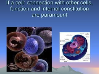 If a cell: connection with other cells, function and internal constitution are paramount 
