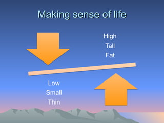 Making sense of life 