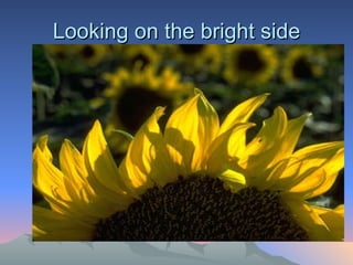 Looking on the bright side 