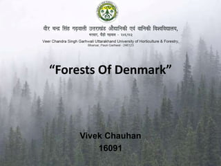 “Forests Of Denmark”
Vivek Chauhan
16091
 