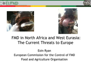 FMD in North Africa and West Eurasia:
The Current Threats to Europe
Eoin Ryan
European Commission for the Control of FMD
Food and Agriculture Organisation
 