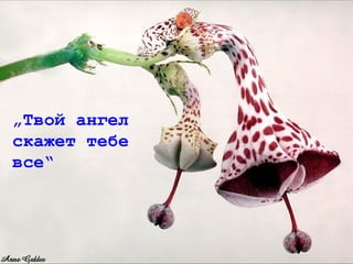 „Твой ангел
скажет тебе
все“
 