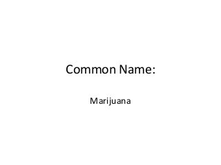 Common Name:
Marijuana
 
