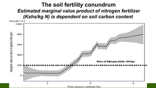 The soil fertility conundrum
Estimated marginal value product of nitrogen fertilizer
(Kshs/kg N) is dependent on soil carbon content
 