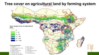 Tree cover on agricultural land by farming system
 