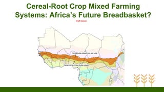 Cereal-Root Crop Mixed Farming
Systems: Africa’s Future Breadbasket?
 