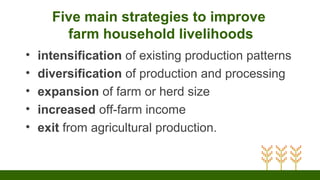 Five main strategies to improve
farm household livelihoods
• intensification of existing production patterns
• diversification of production and processing
• expansion of farm or herd size
• increased off-farm income
• exit from agricultural production.
 