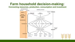 Farm household decision-making:
Connecting resources, production, consumption and investment
 