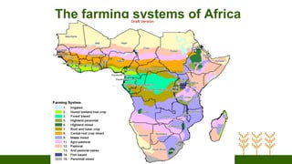 The farming systems of Africa
 