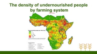 The density of undernourished people
by farming system
 