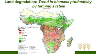 Land degradation: Trend in biomass productivity
by farming system
 