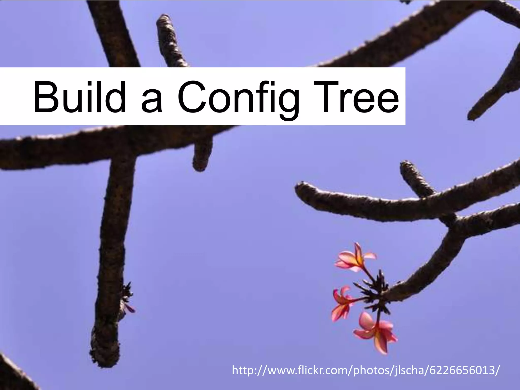 Build a Config Tree




          http://www.flickr.com/photos/jlscha/6226656013/
 