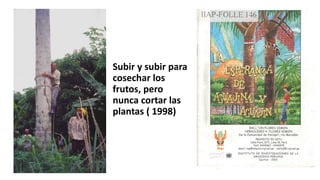 Subir y subir para
cosechar los
frutos, pero
nunca cortar las
plantas ( 1998)
 