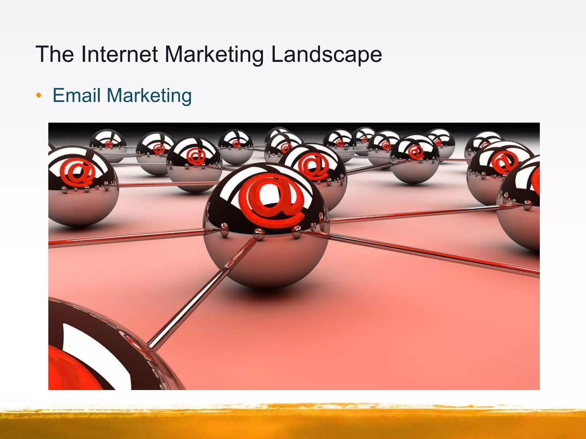 The Internet Marketing Landscape
• Email Marketing
 