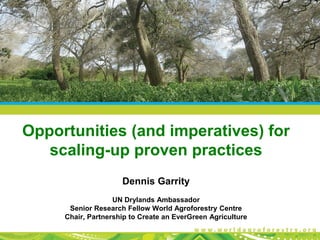 Opportunities (and imperatives) for
scaling-up proven practices
Dennis Garrity
UN Drylands Ambassador
Senior Research Fellow World Agroforestry Centre
Chair, Partnership to Create an EverGreen Agriculture
 