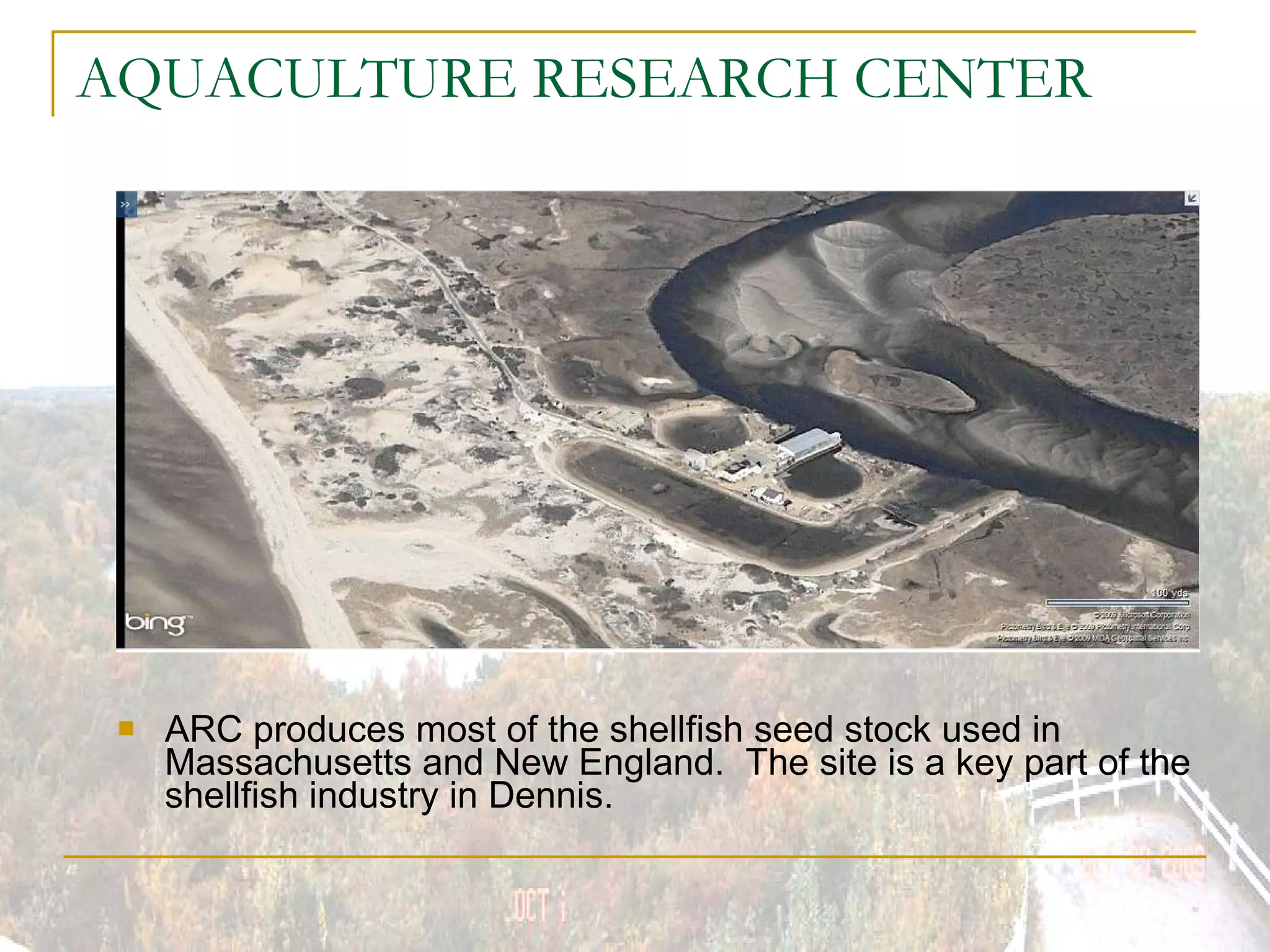 AQUACULTURE RESEARCH CENTER ARC produces most of the shellfish seed stock used in Massachusetts and New England.  The site is a key part of the shellfish industry in Dennis. 