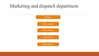 Marketing and dispatch department
Manager
Senior assistant
Office assistant
General clerk
Skilled grade 1
 