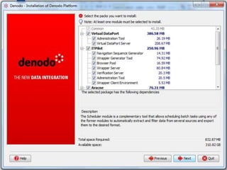 Denodo Installation