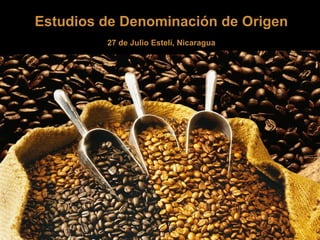Estudios de Denominación de Origen 27 de Julio Estelí, Nicaragua 