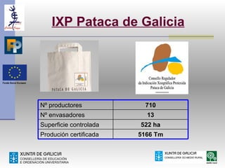 IXP Pataca de Galicia




Nº productores            710
Nº envasadores            13
Superficie controlada   522 ha
Produción certificada   5166 Tm
 