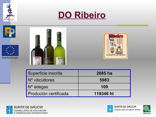 DO Ribeiro




Superficie inscrita       2685 ha
Nº viticultores            5983
Nº adegas                   109
Produción certificada    119346 hl
 