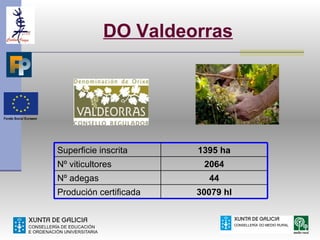DO Valdeorras




Superficie inscrita     1395 ha
Nº viticultores          2064
Nº adegas                 44
Produción certificada   30079 hl
 