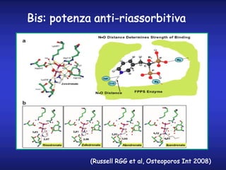 (Russell RGG et al, Osteoporos Int 2008)
Bis: potenza anti-riassorbitiva
 