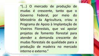 “(...) O mercado de produção de
mudas é crescente, tanto que o
Governo Federal, por meio do
Ministério da Agricultura, criou o
Programa de Apoio à Implantação de
Viveiros Florestais, que vai apoiar
projetos de fomento florestal para
atender a demanda crescente de
mudas florestais de qualidade para a
produção de madeira no mercado
interno e externo.”
 