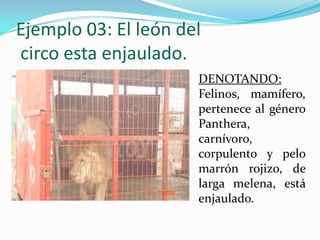 Ejemplo 03: El león del
circo esta enjaulado.
                      DENOTANDO:
                      Felinos, mamífero,
                      pertenece al género
                      Panthera,
                      carnívoro,
                      corpulento y pelo
                      marrón rojizo, de
                      larga melena, está
                      enjaulado.
 